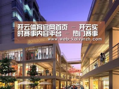 案例展示一(图1)
