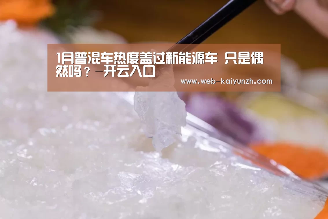 开云入口