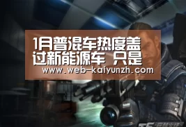开云入口