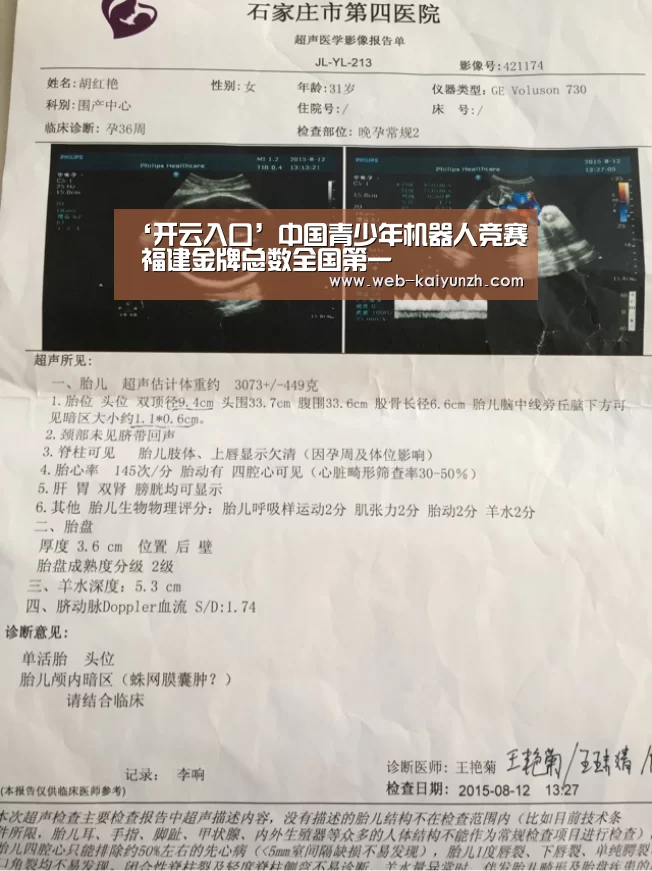 开云入口