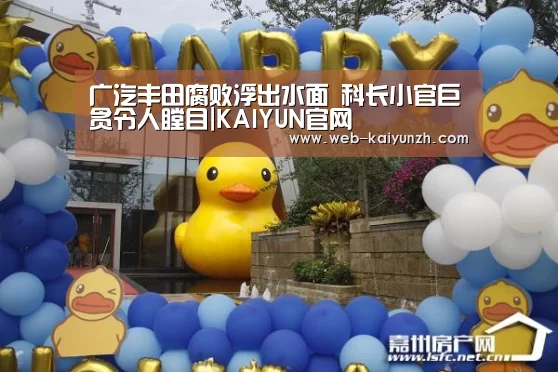 开云入口