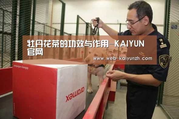KAIYUN官网