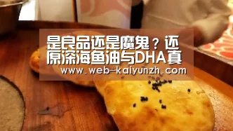 开云入口