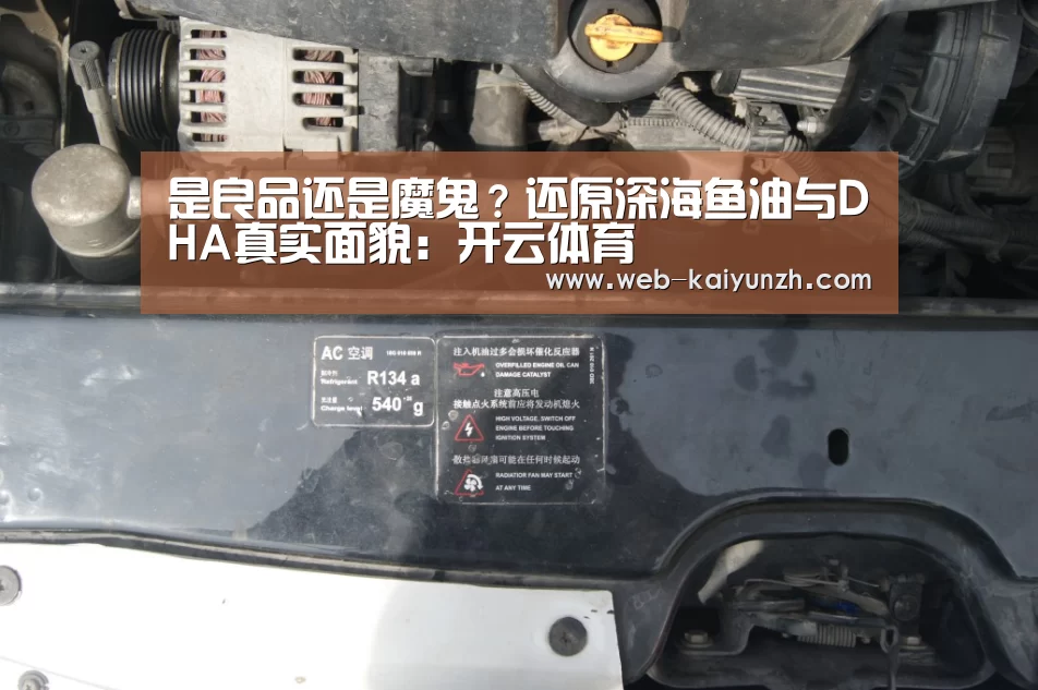 开云入口