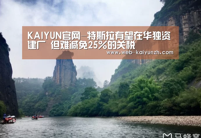 开云入口