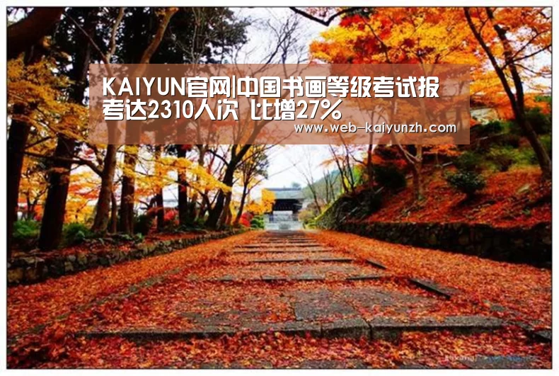 KAIYUN官网