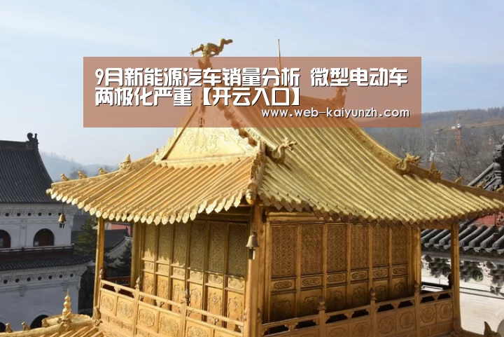 开云入口