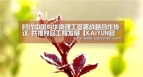 开云体育