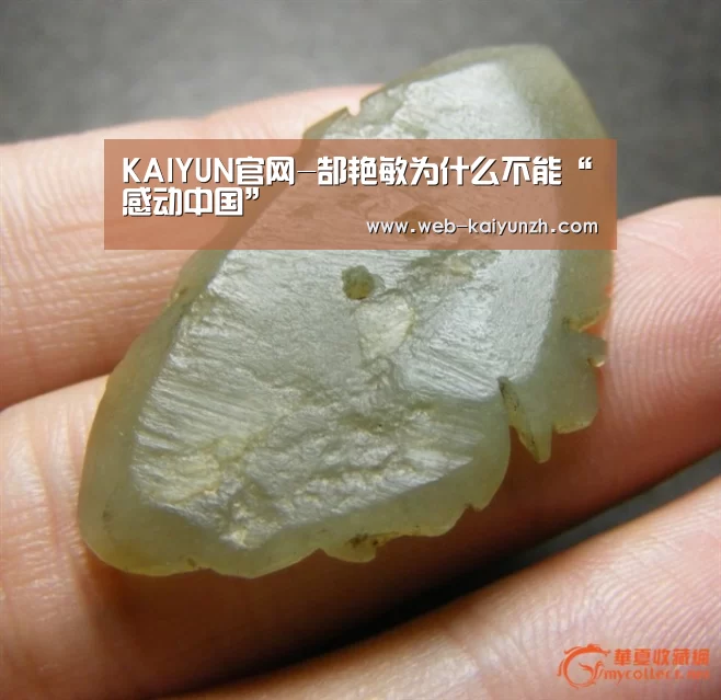 KAIYUN官网