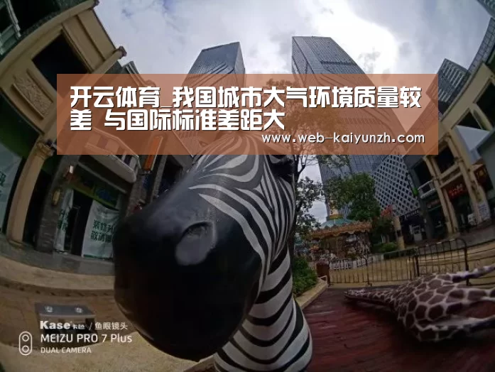 开云体育
