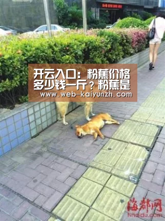 开云入口