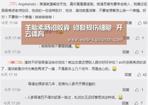 开云入口
