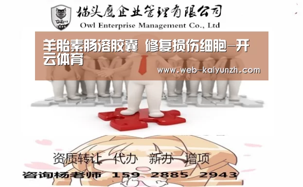 开云体育