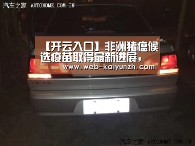 开云入口