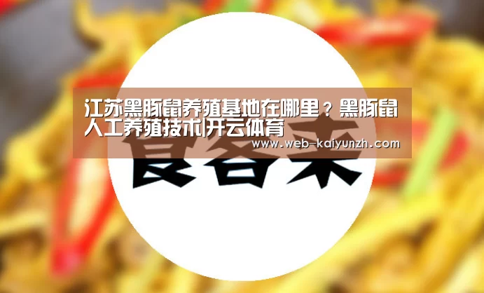 开云体育