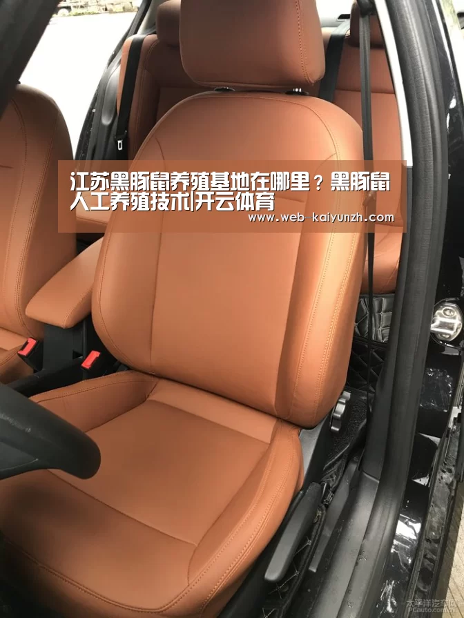 开云体育