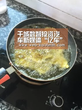 千城数智投资汽车新媒体“亿车” 强化汽车板块业务【KAIYUN官网】(图2) 开云入口