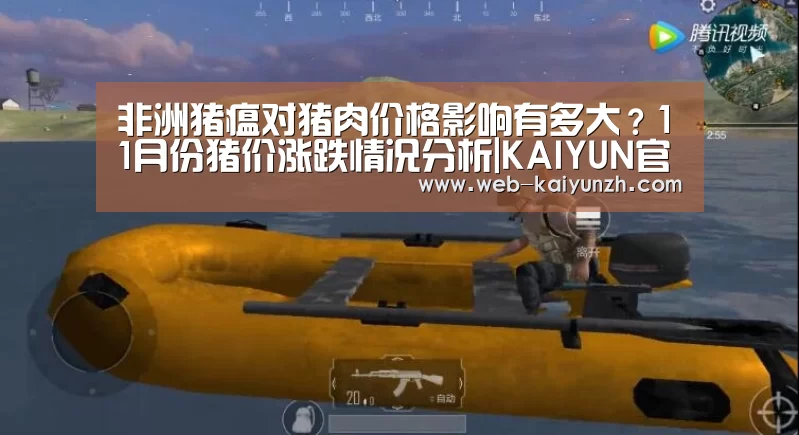 非洲猪瘟对猪肉价格影响有多大?11月份猪价涨跌情况分析|KAIYUN官网(图1) KAIYUN官网
